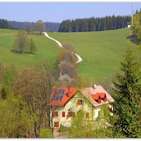 Dom Rudy Sienna (Klodzko)
